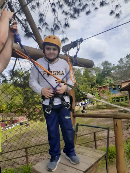 Bicho Mania 2022